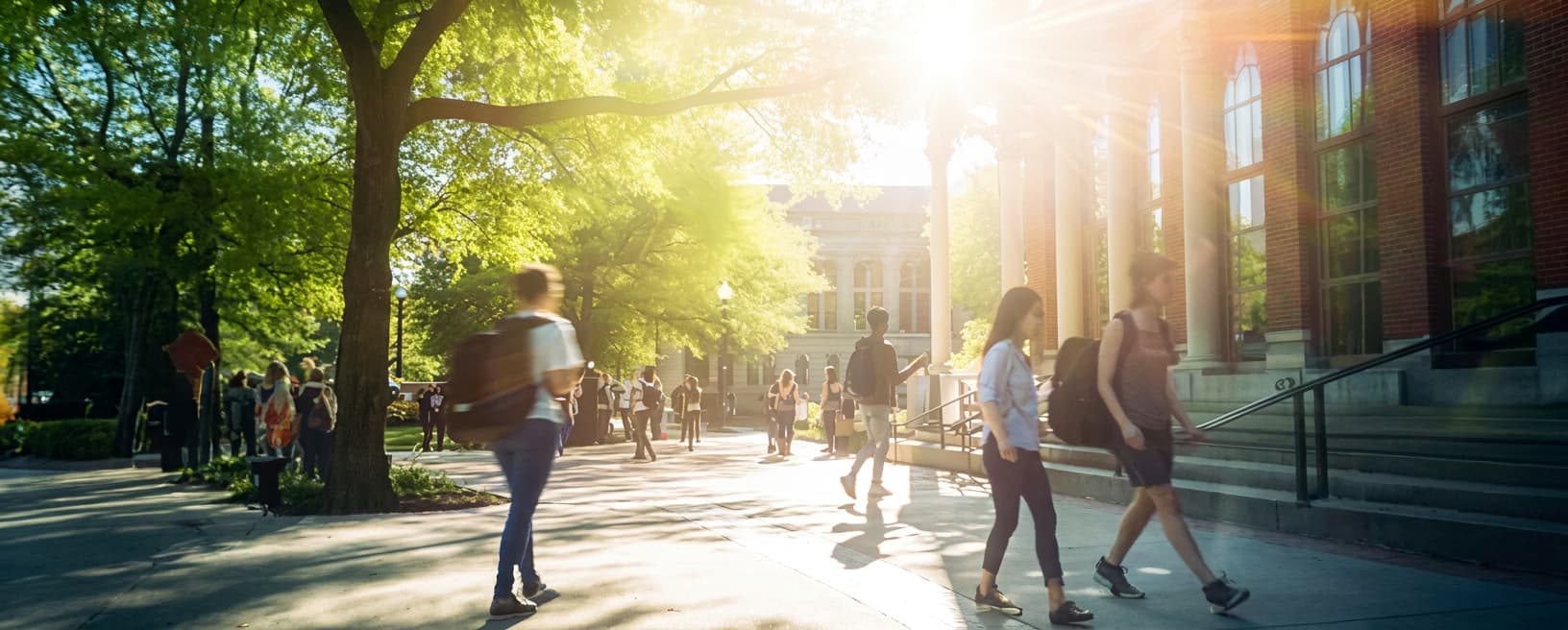 A tree-lined campus walkway with students walking past a columned brick building in bright sunlight.